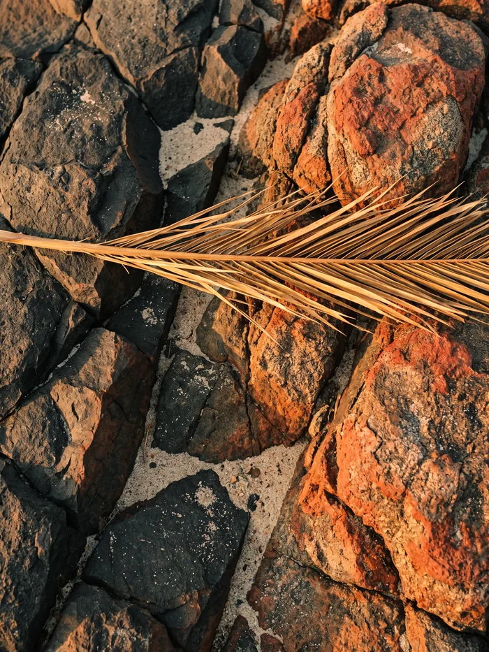 Basalt stone of the Madinah plain